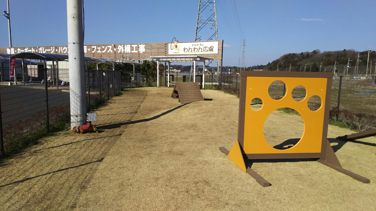 カインズホーム佐倉店ドッグラン エステサロン ヘアールーシェのブログ